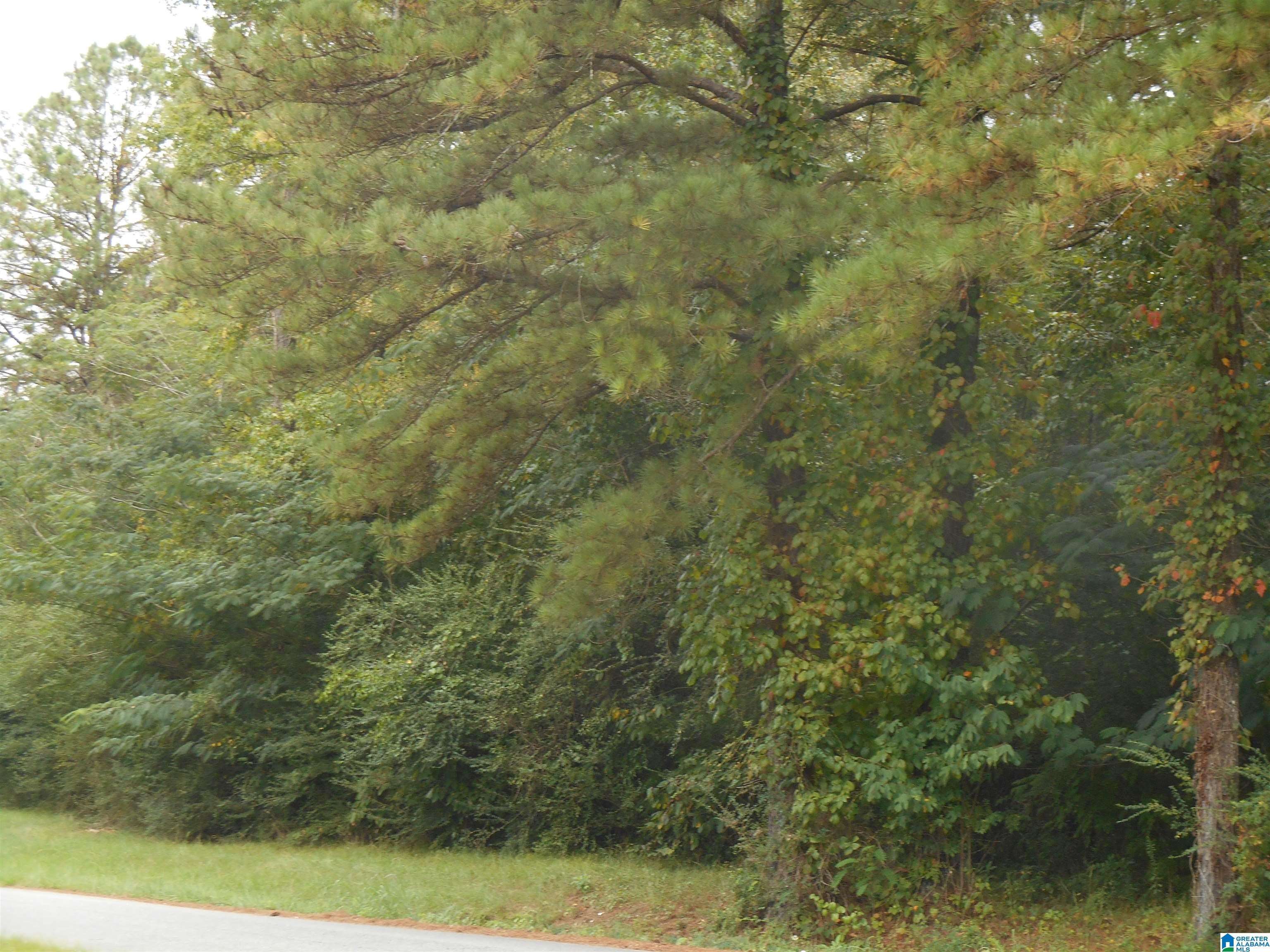 Industrial Road West Columbiana, AL 35051 - Photo 1 of 2