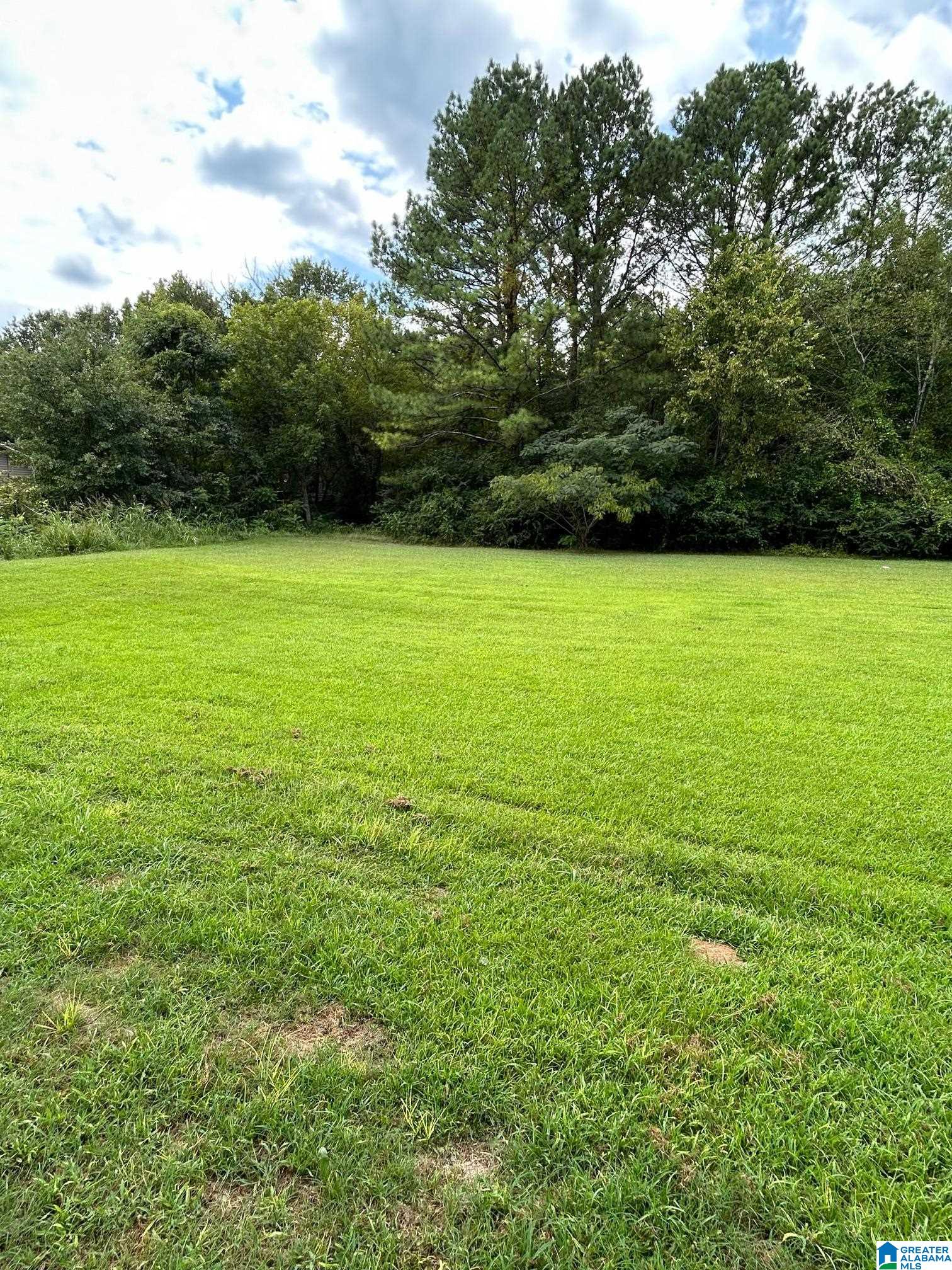 0 Glade Road Anniston, AL 36206 - Photo 3 of 4