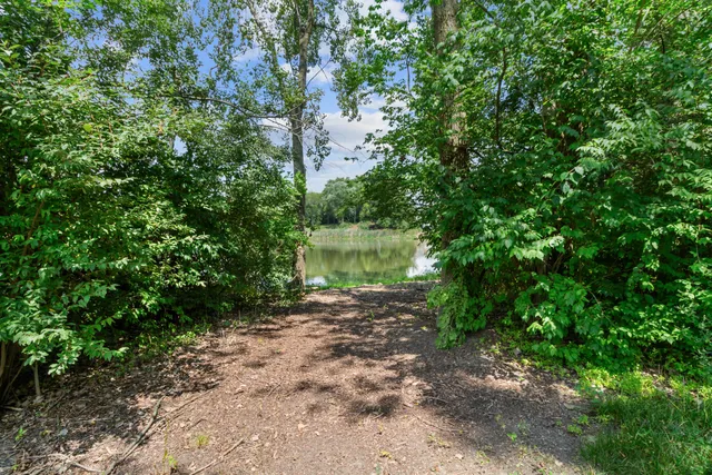a view of a lake in middle of forest