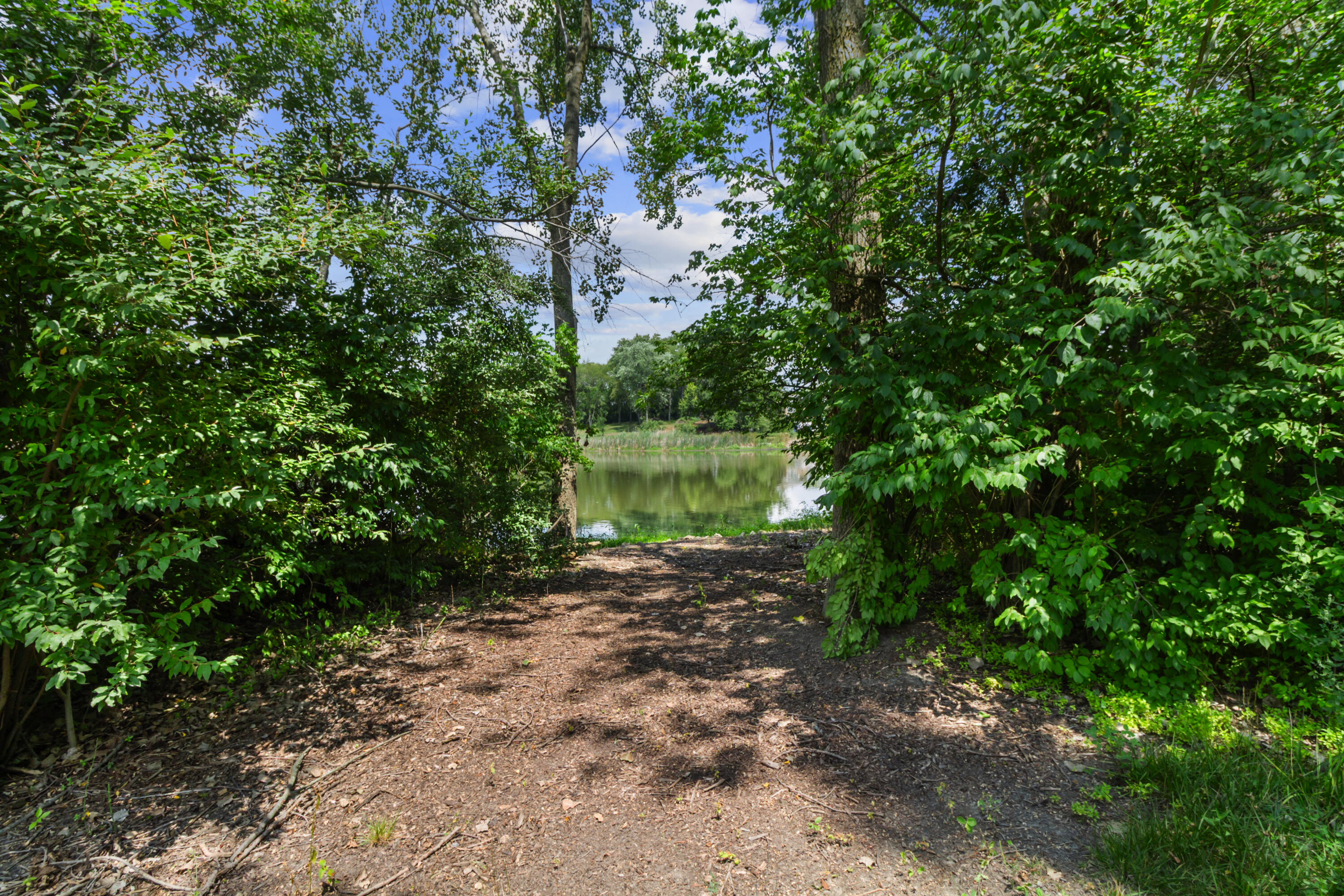16489 Harrison Street Lowell, IN 46356 - Photo 7 of 67 a view of a house with a tree