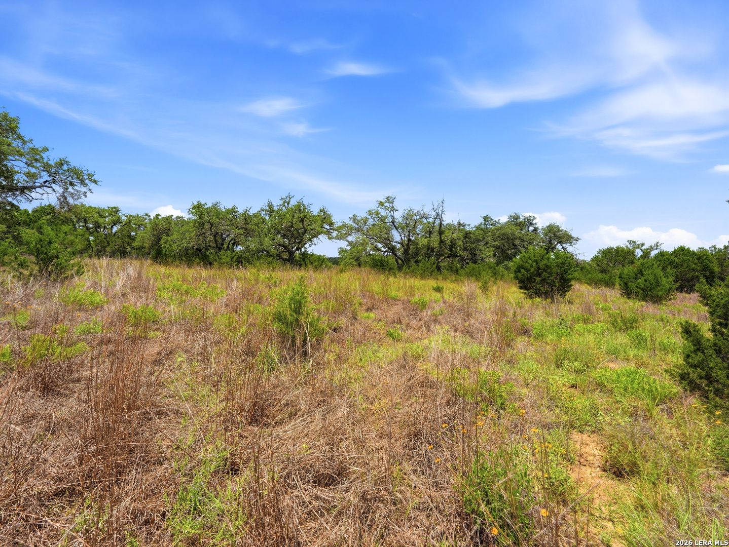 1030 Sunrise Place Spring Branch, TX 78070 - Photo 5 of 30