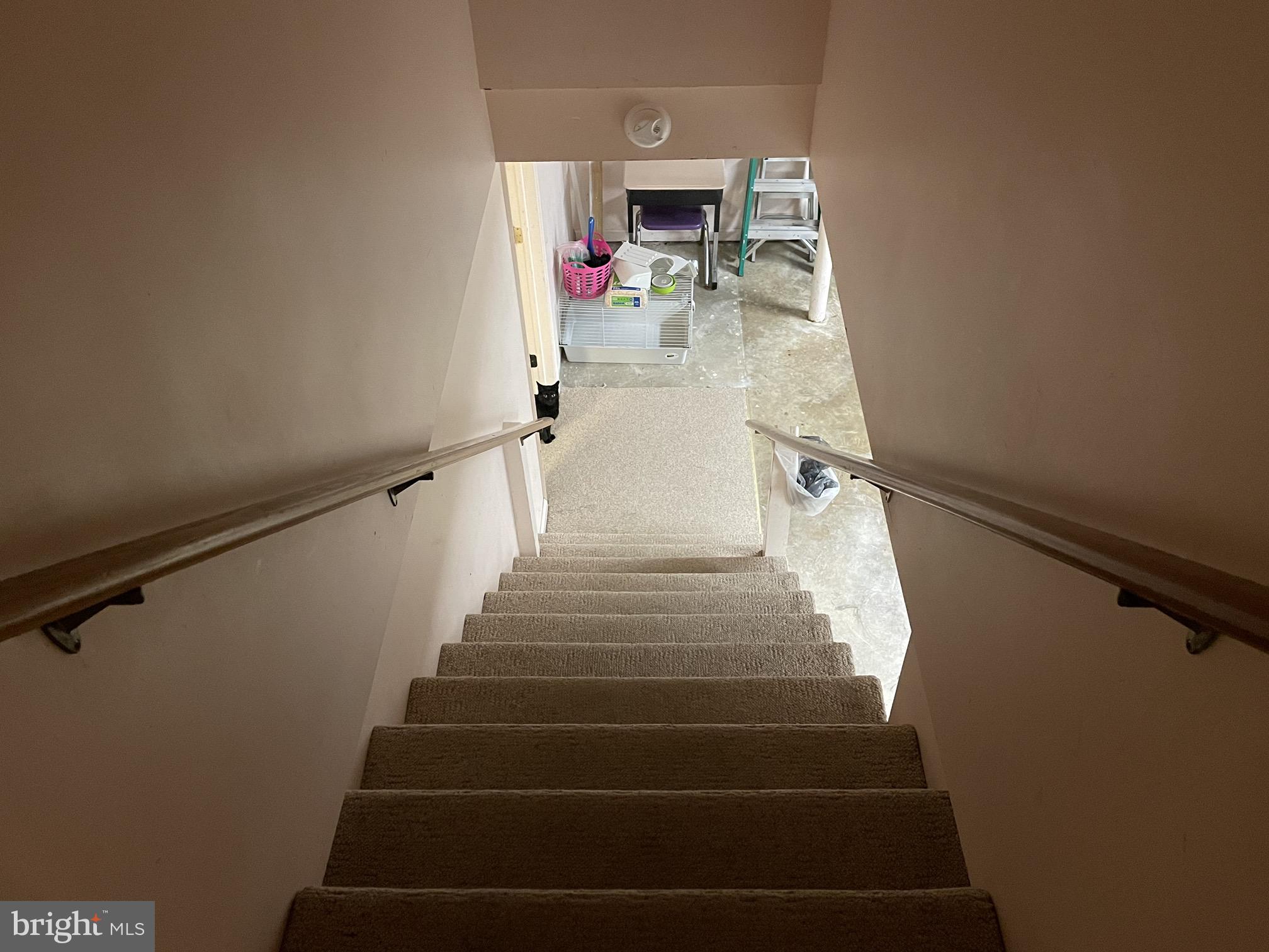 421 Shirktown Road Narvon, PA 17555 - Photo 38 of 78 Steps to basement