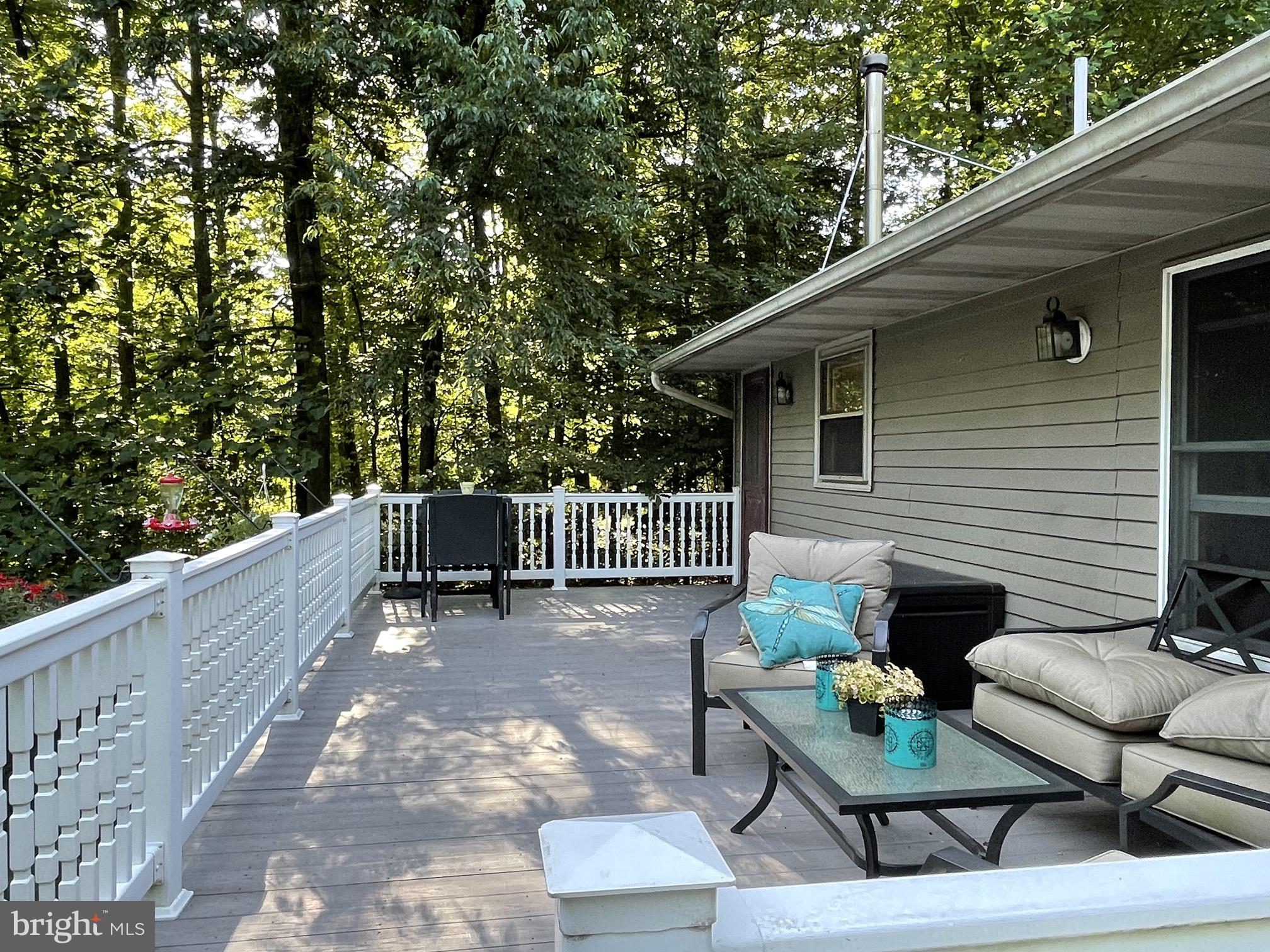 421 Shirktown Road Narvon, PA 17555 - Photo 60 of 78 Large composite deck