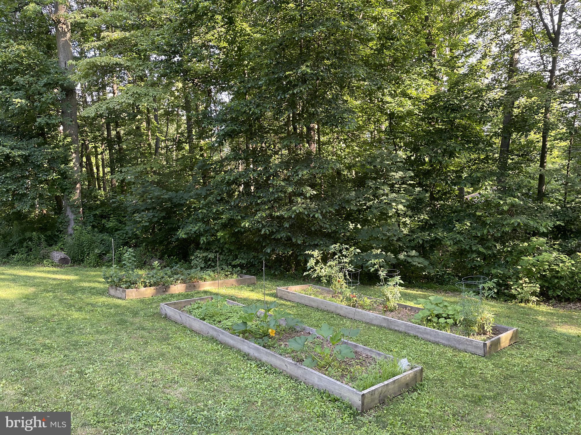 421 Shirktown Road Narvon, PA 17555 - Photo 75 of 78 Raised garden in front yard