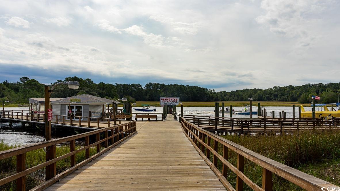 360 Glade Court Loris, SC 29569 - Photo 29 of 40