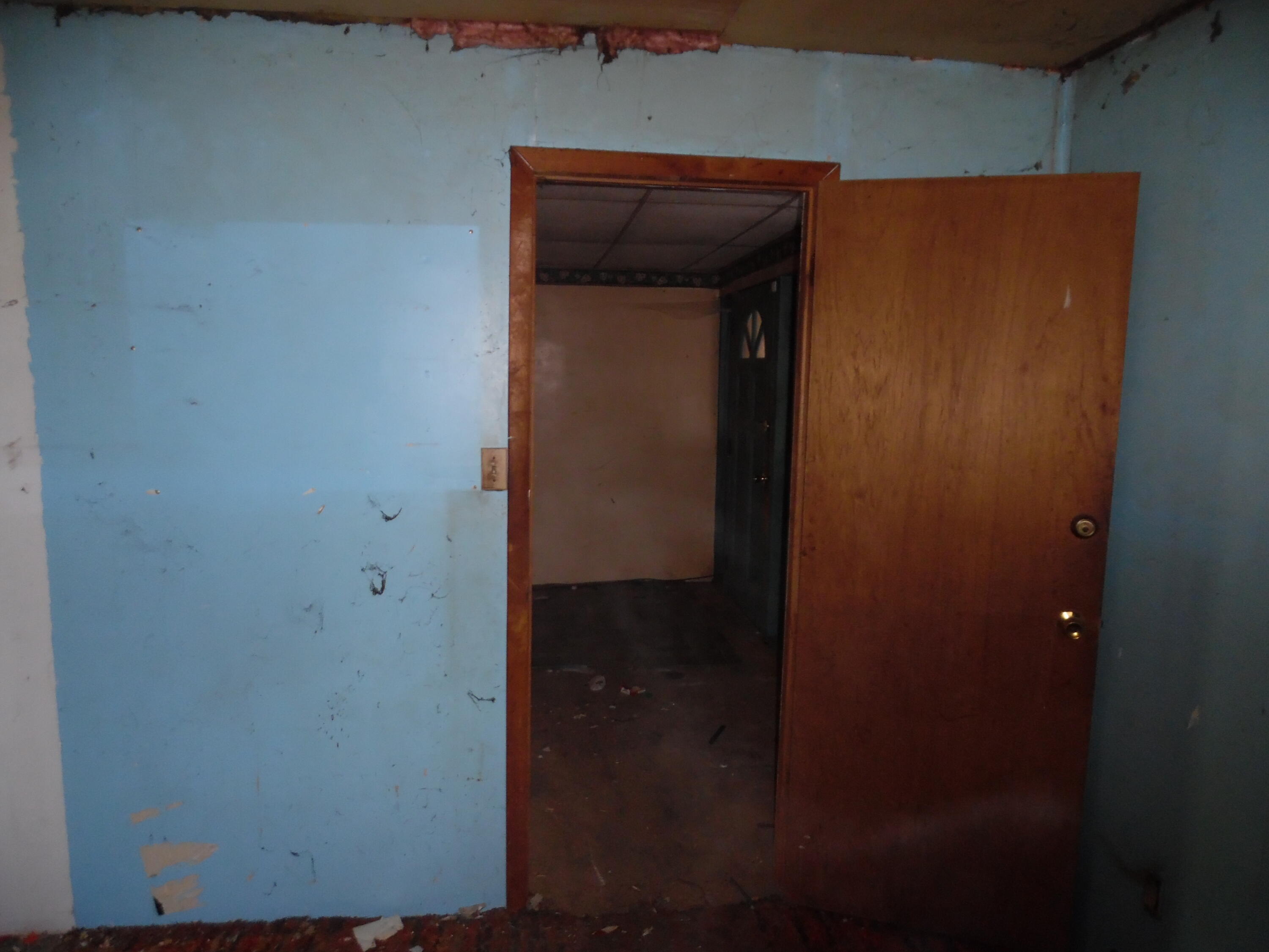 16527 Highway 12 Addison, MI 49220 - Photo 5 of 12 SAM_8504