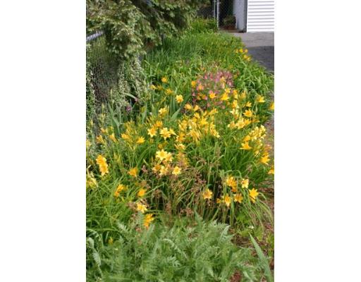 8 Juniper Hill Road Ware, MA 01082 - Photo 13 of 16