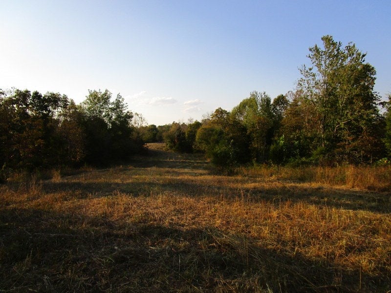 2471 Laton-Turner Road Upton, KY 42784 - Photo 13 of 23 Gallery Image 13