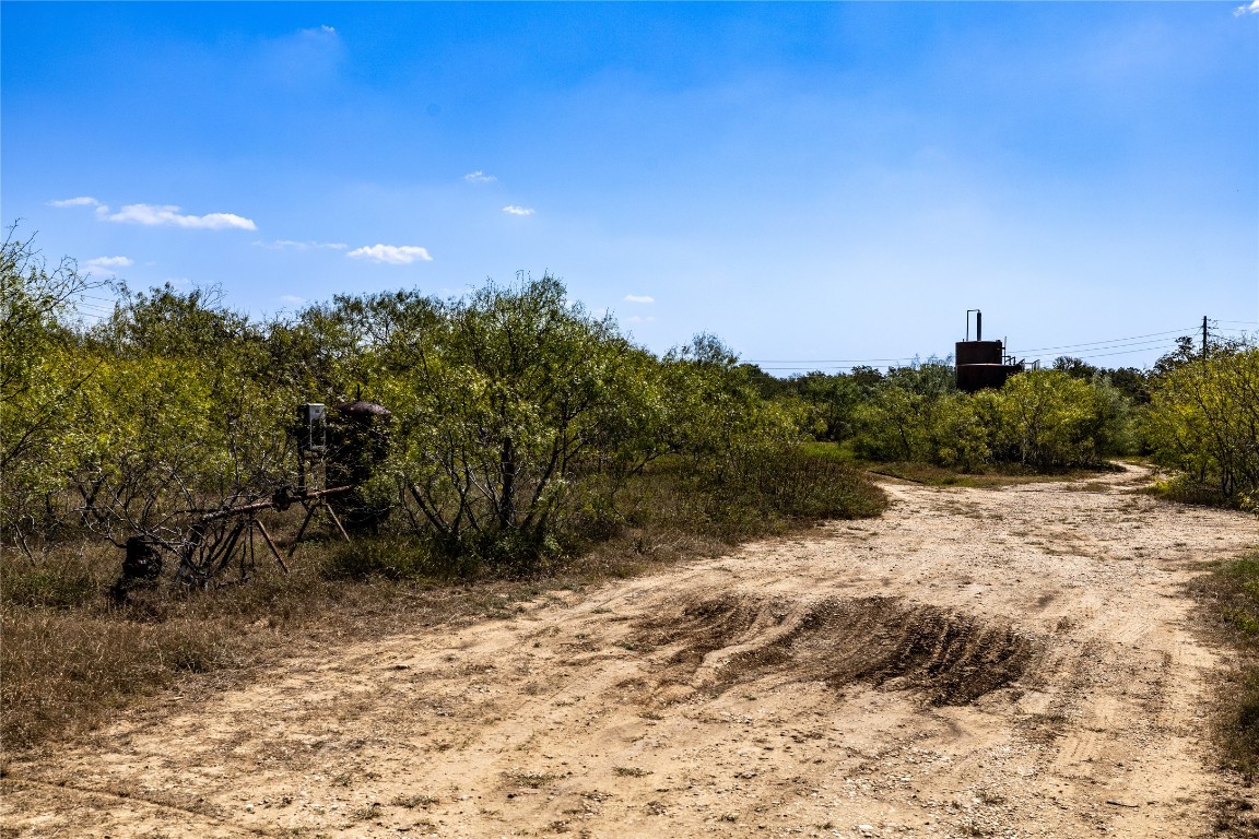 Tbd Lot 1 Tbd Road Red Rock, TX 78662 - Photo 11 of 12 a view of a yard with a tree