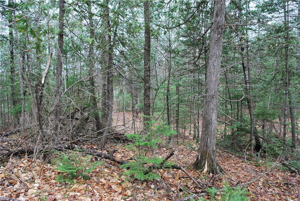 6 Campbell Road Garland, ME 04939 - Photo 3 of 6 Photo