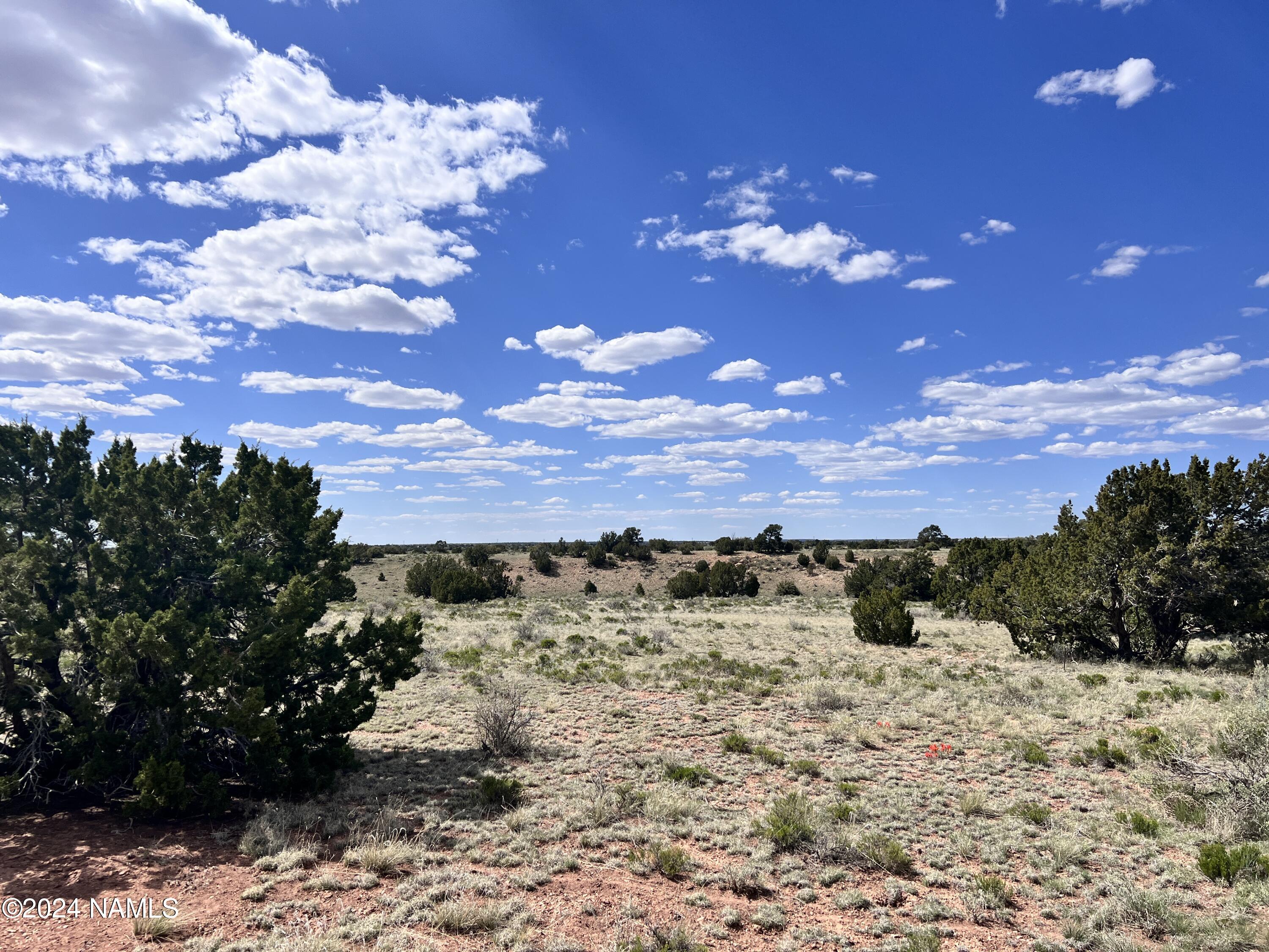 2255 East S Rim Ranch Road Williams, AZ 86046 - Photo 29 of 38 IMG_8573