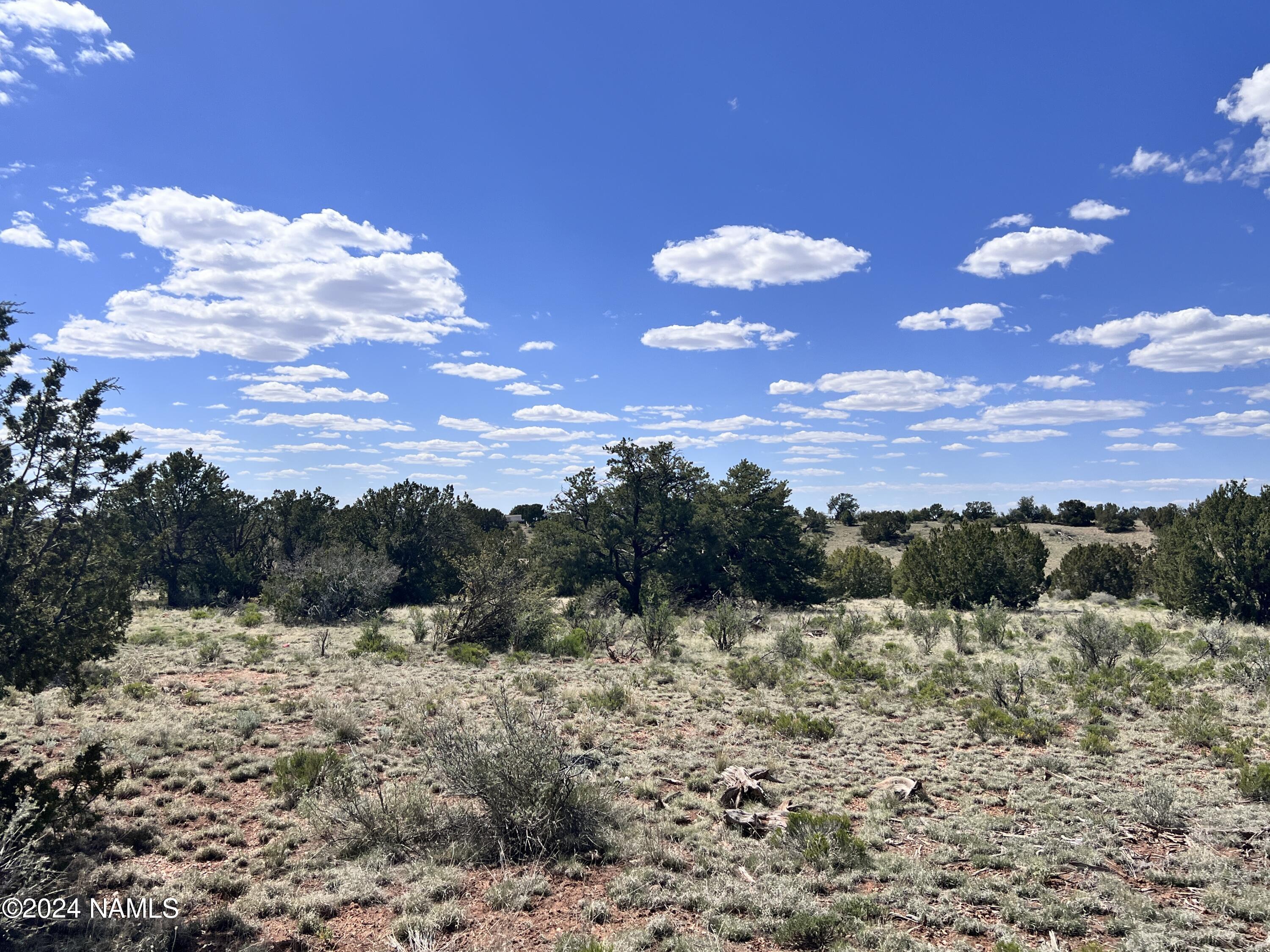 2255 East S Rim Ranch Road Williams, AZ 86046 - Photo 33 of 38 IMG_8564