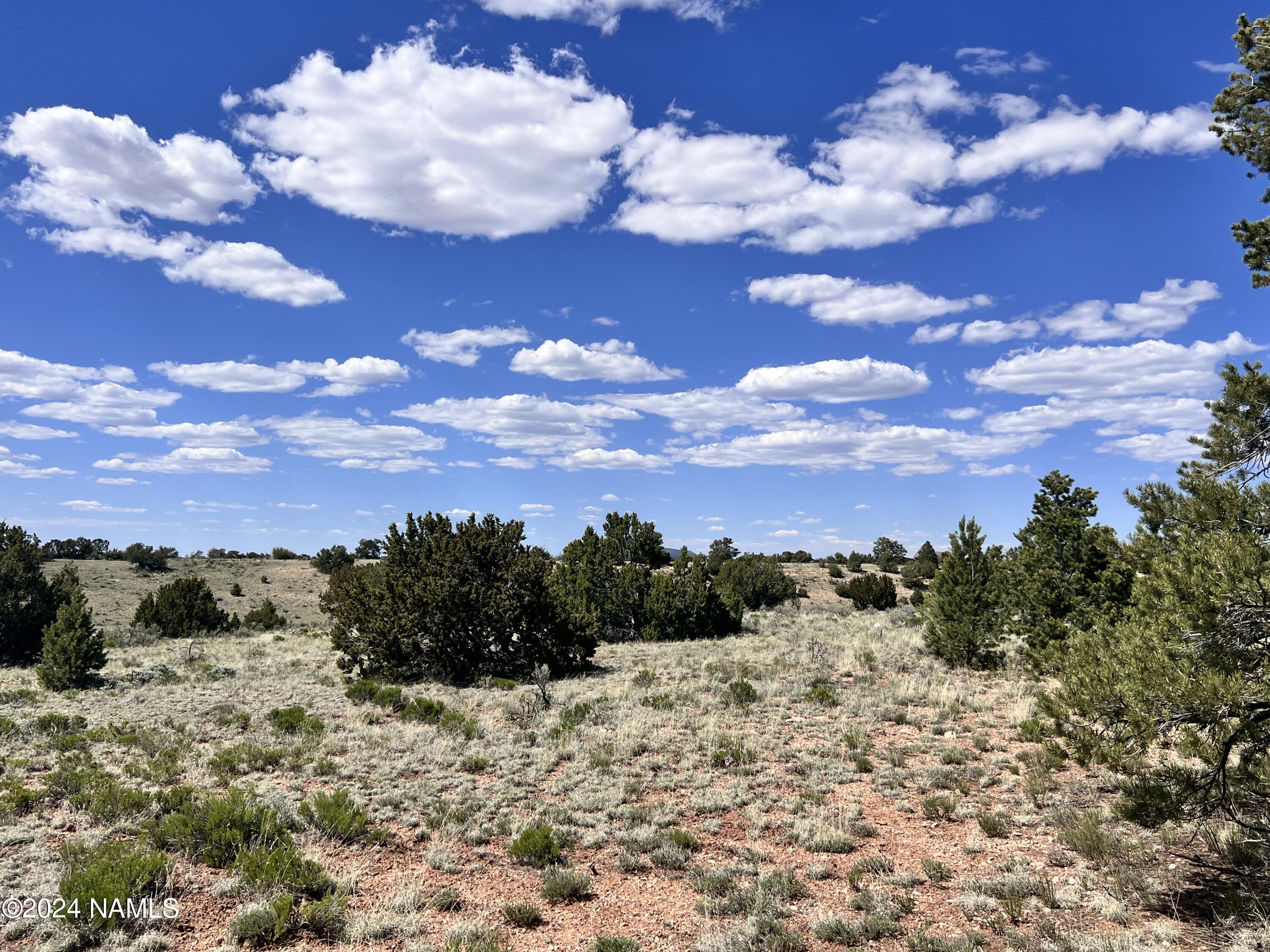 2255 East S Rim Ranch Road Williams, AZ 86046 - Photo 34 of 38 IMG_8565