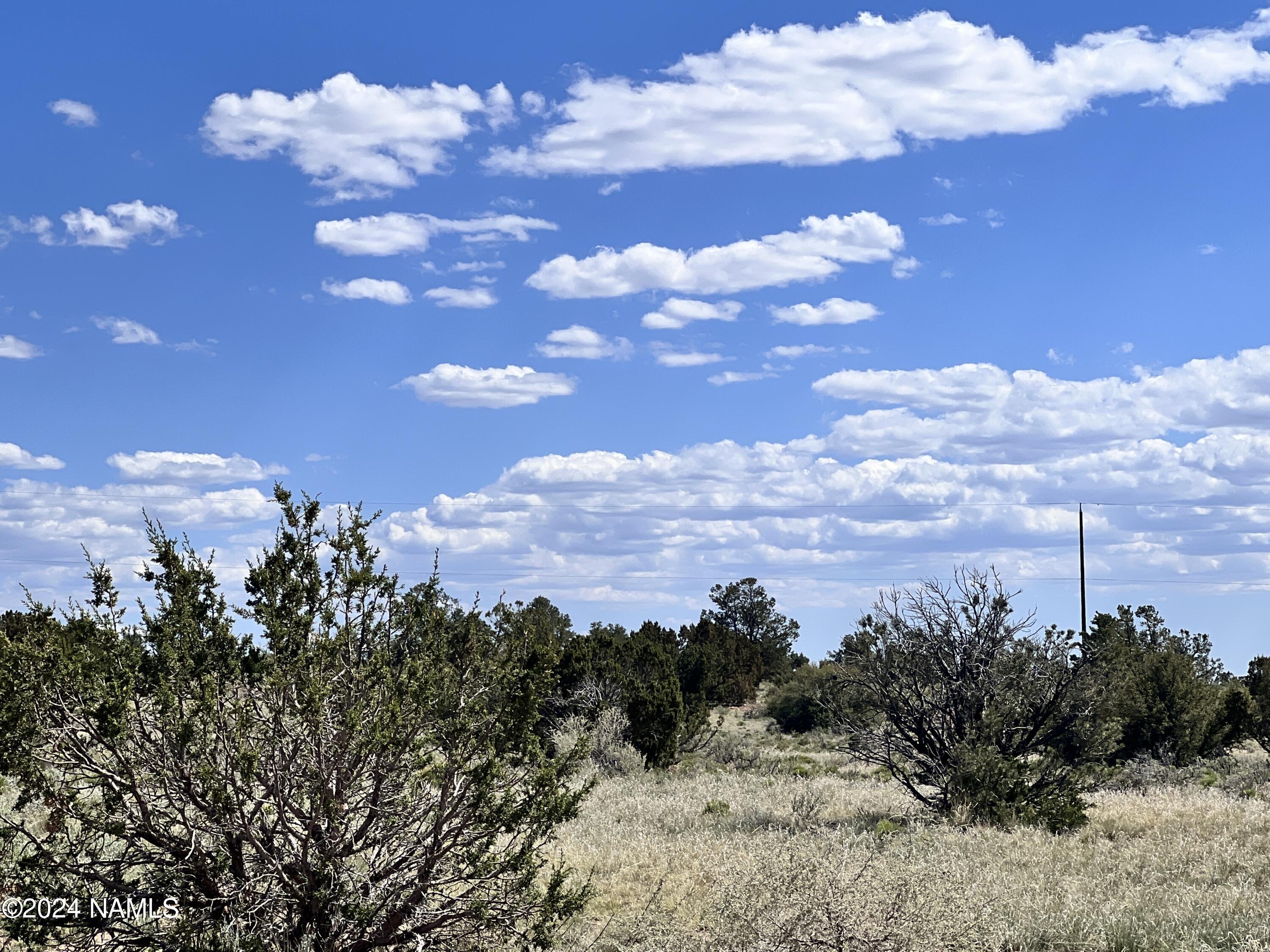 2255 East S Rim Ranch Road Williams, AZ 86046 - Photo 38 of 38 IMG_8569