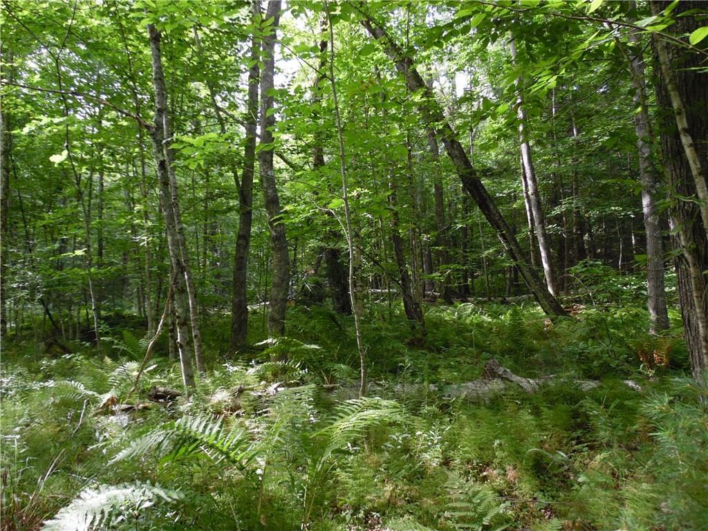 53 Cushing Farm Road New Harbor, ME 04554 - Photo 5 of 17 Photo