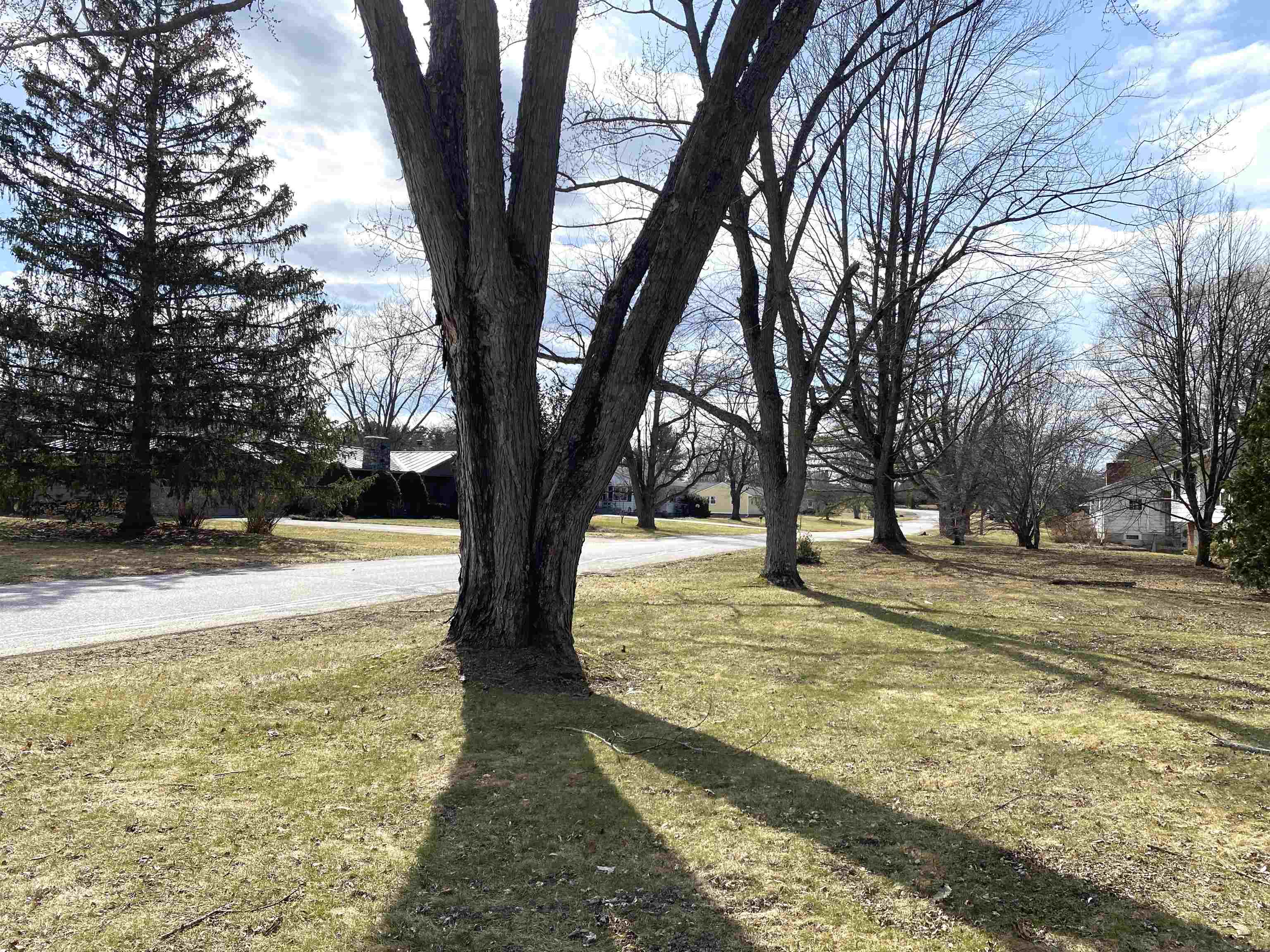 4 Gorham Lane Middlebury, VT 05753 - Photo 24 of 32