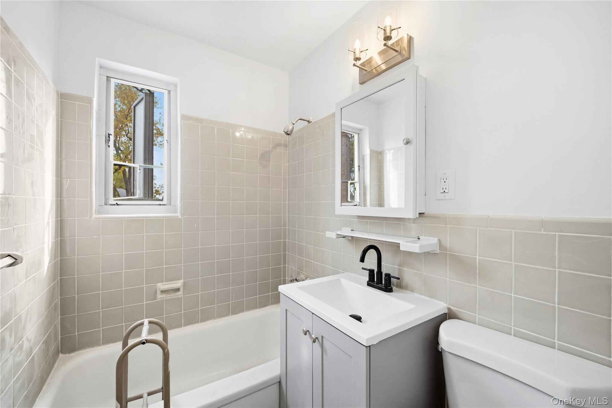 228-08 Stronghurst Avenue, Unit LOWR Queens, NY 11427 - Photo 19 of 20 a bathroom with a sink a toilet and a mirror