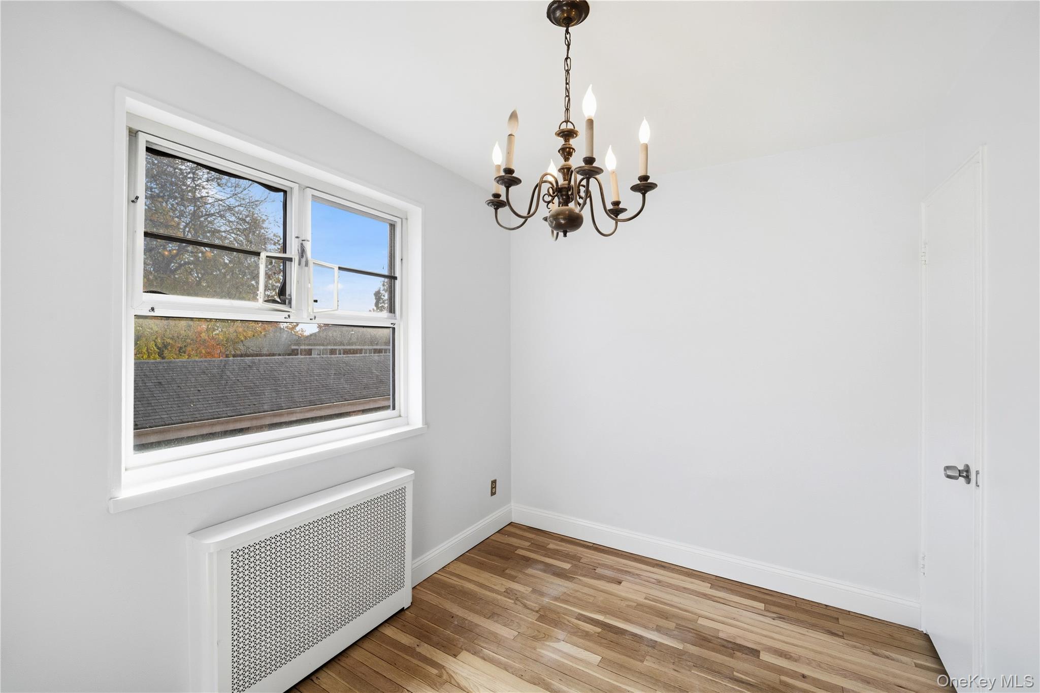 228-08 Stronghurst Avenue, Unit LOWR Queens, NY 11427 - Photo 7 of 20 a view of a livingroom with a window and a chandelier