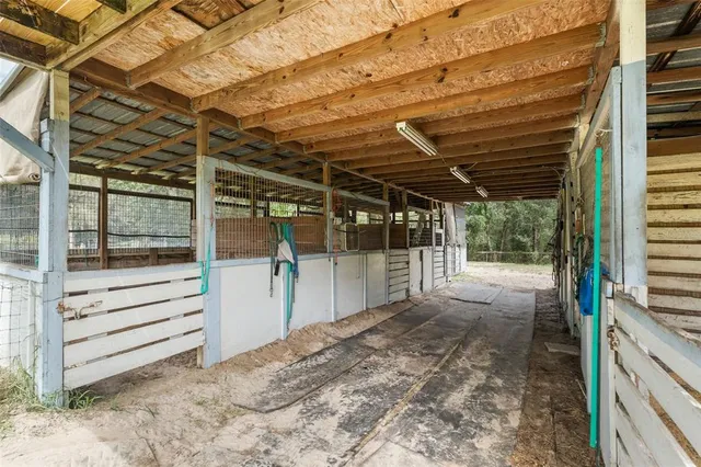 a view of a park with trees