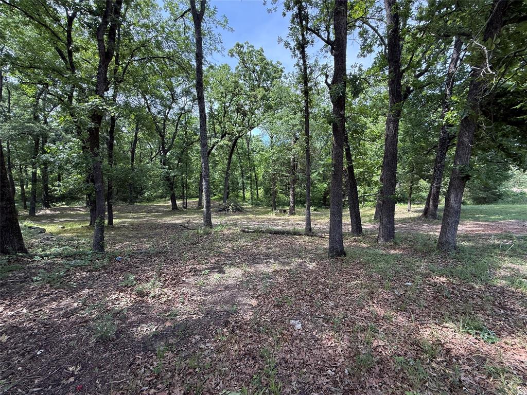 148 Indian Gap Road Mabank, TX 75156 - Photo 20 of 23 a view of outdoor space with trees