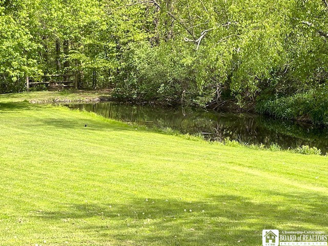 9668 Adams Road Pomfret, NY 14063 - Photo 44 of 50