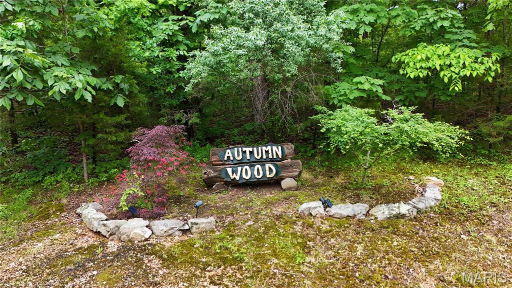 0 Autumn Wood Road De Soto, MO 63020 - Photo 2 of 8