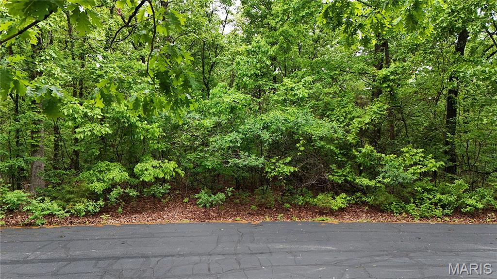 0 Autumn Wood Road De Soto, MO 63020 - Photo 3 of 8