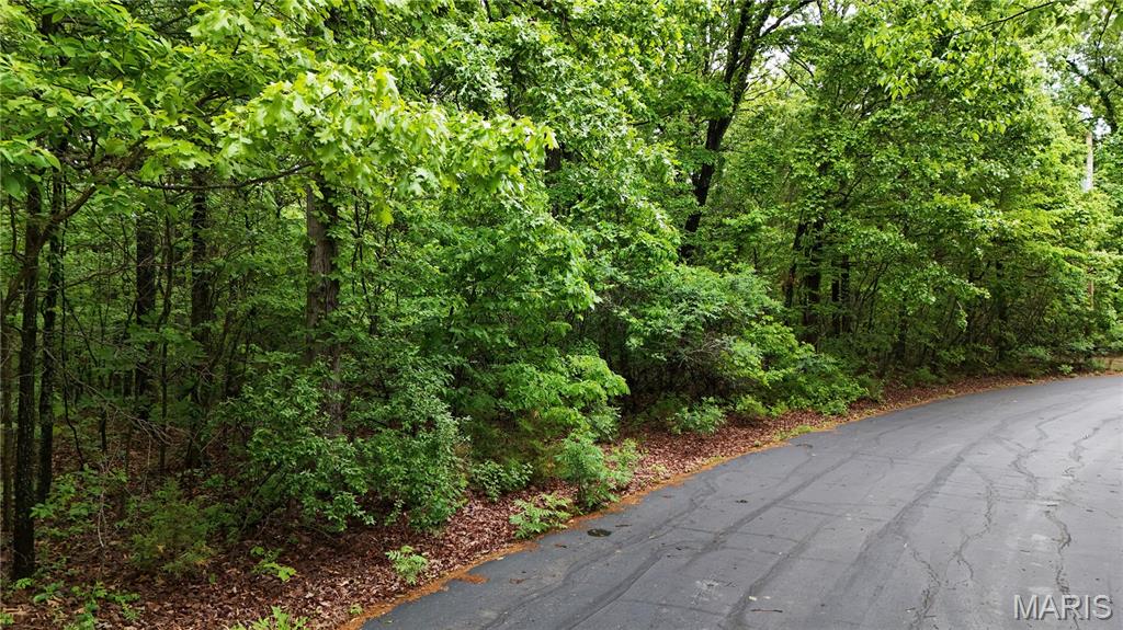 0 Autumn Wood Road De Soto, MO 63020 - Photo 4 of 8