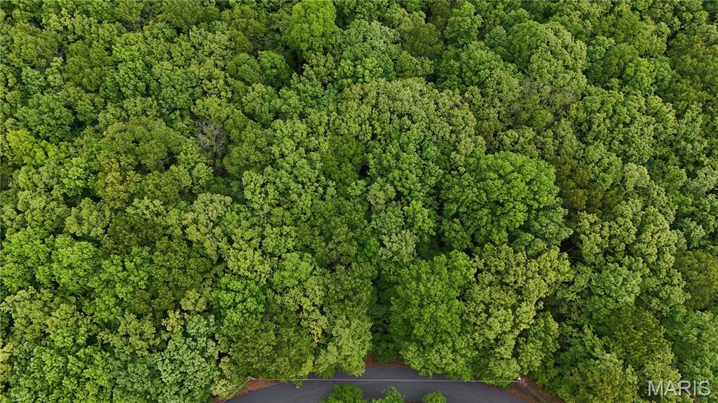0 Autumn Wood Road De Soto, MO 63020 - Photo 5 of 8