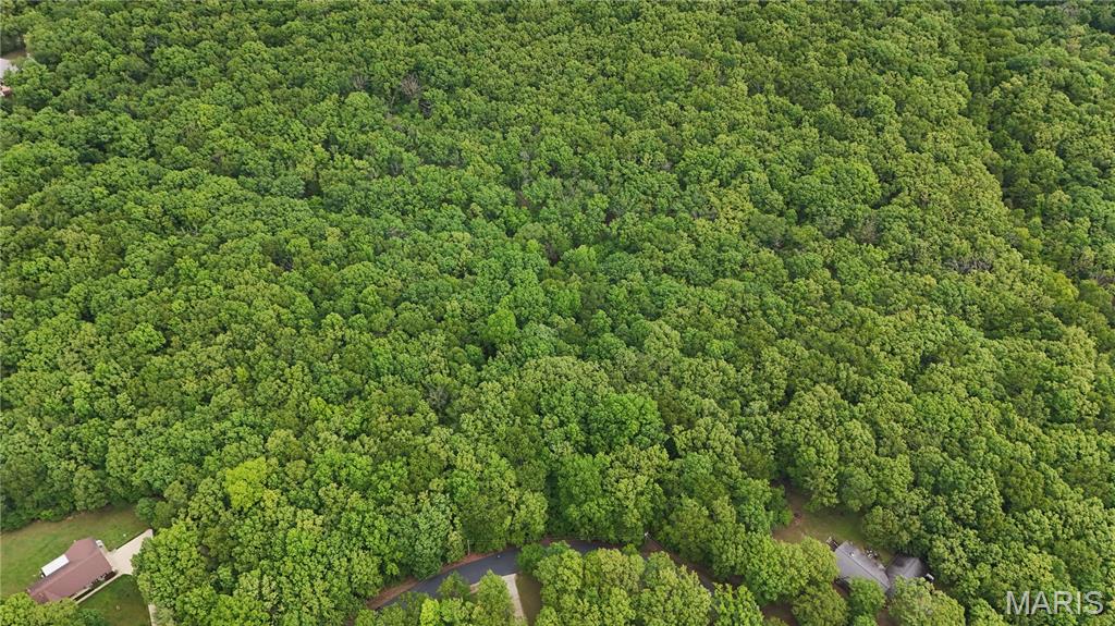 0 Autumn Wood Road De Soto, MO 63020 - Photo 6 of 8