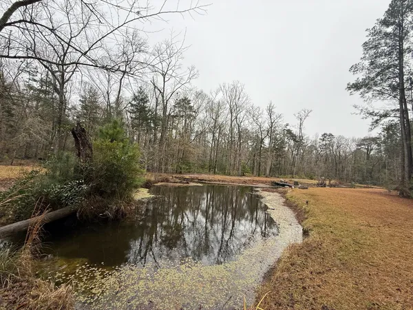 $575,000 | 8995 Greenwood Road, Adams Run, SC 29426