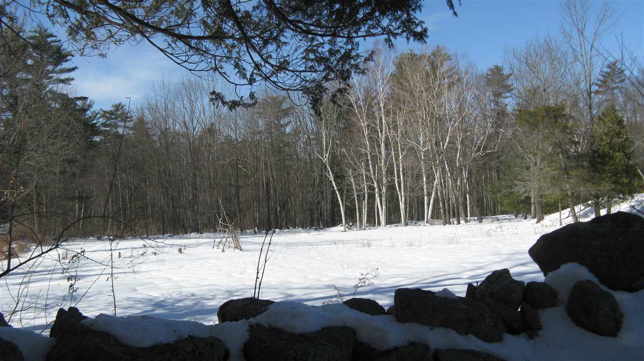 229 Gilman's Corner Road Alton, NH 03809 - Photo 4 of 23