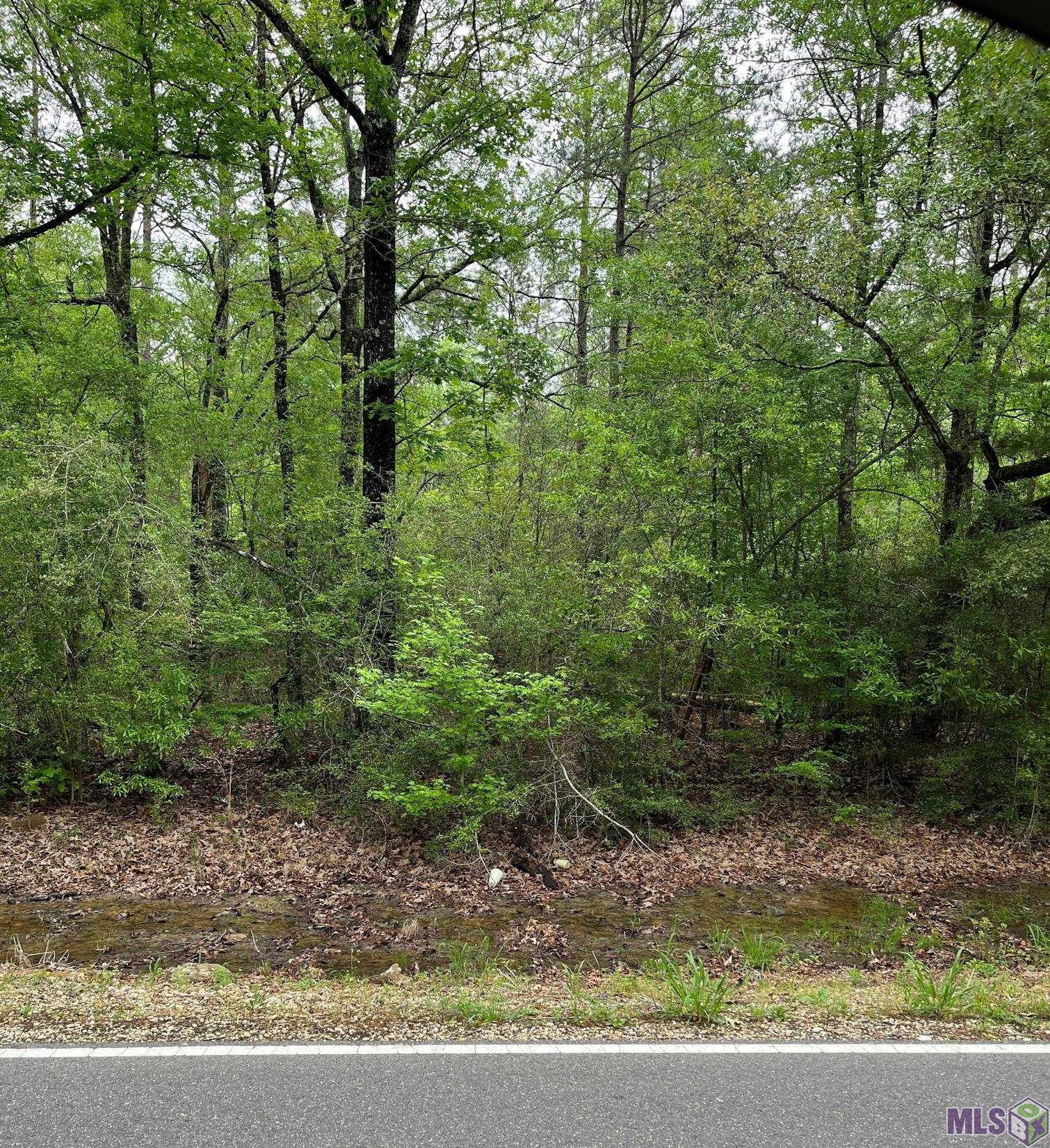 2 Pride-Baywood Road Greenwell Springs, LA 70739 - Photo 1 of 4