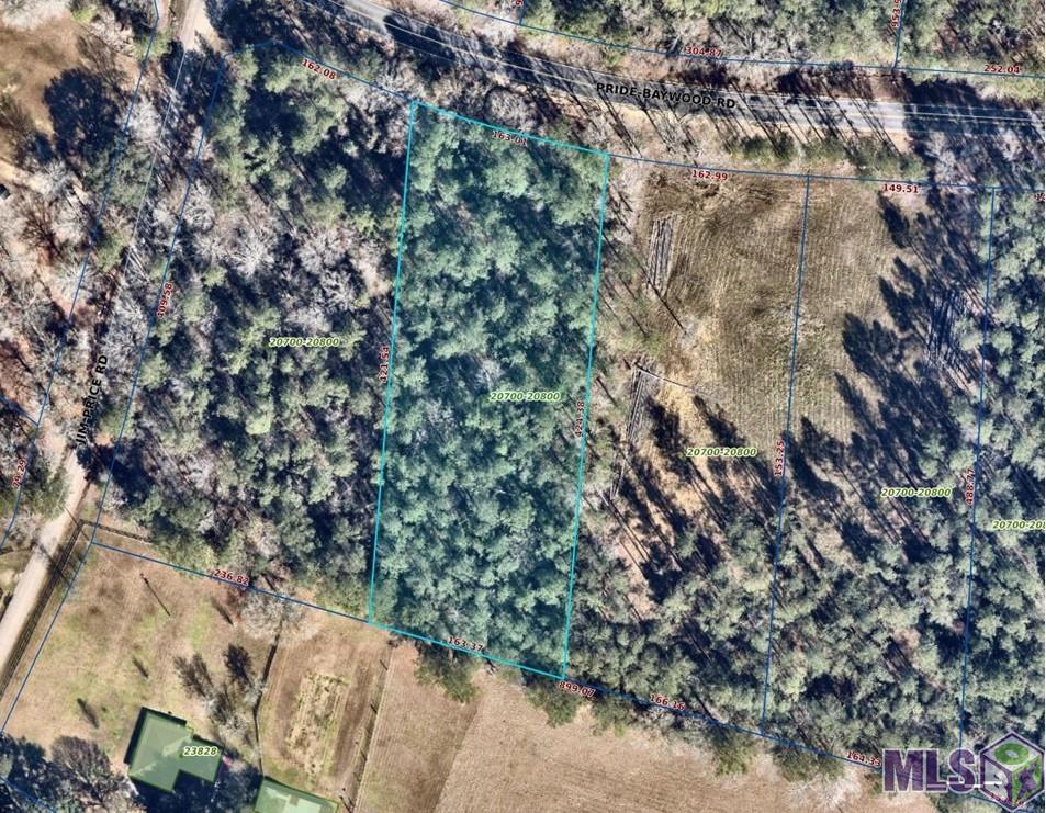 2 Pride-Baywood Road Greenwell Springs, LA 70739 - Photo 3 of 4
