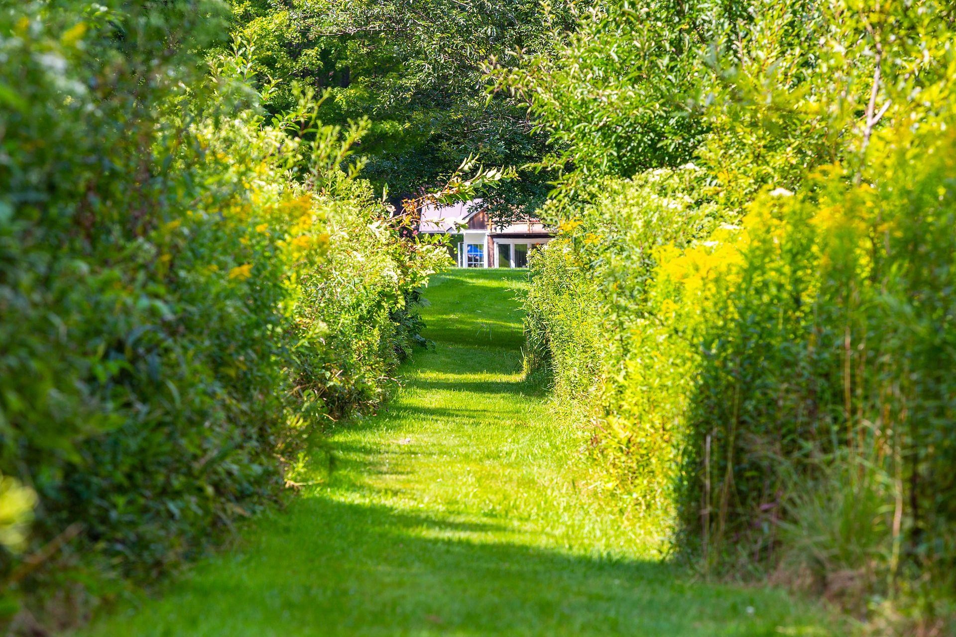 5518 Highway 12 Barnard, VT 05091 - Photo 43 of 48