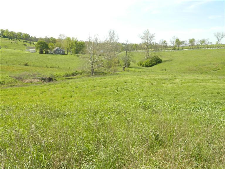 7960 Tates Creek Road Lexington, KY 40515 - Photo 3 of 11 Photo 3