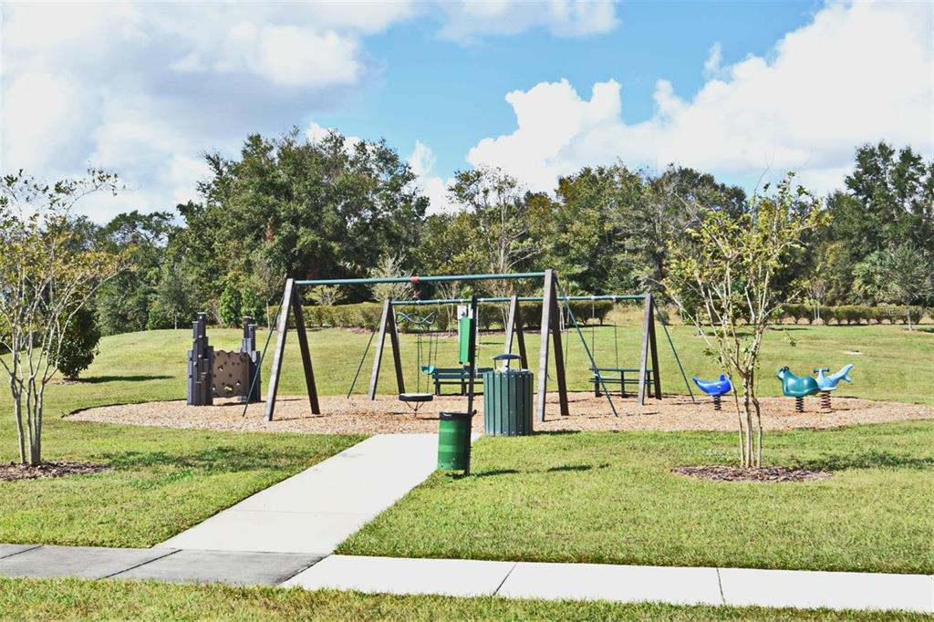 1237 Limbali Street Mount Dora, FL 32757 - Photo 14 of 19