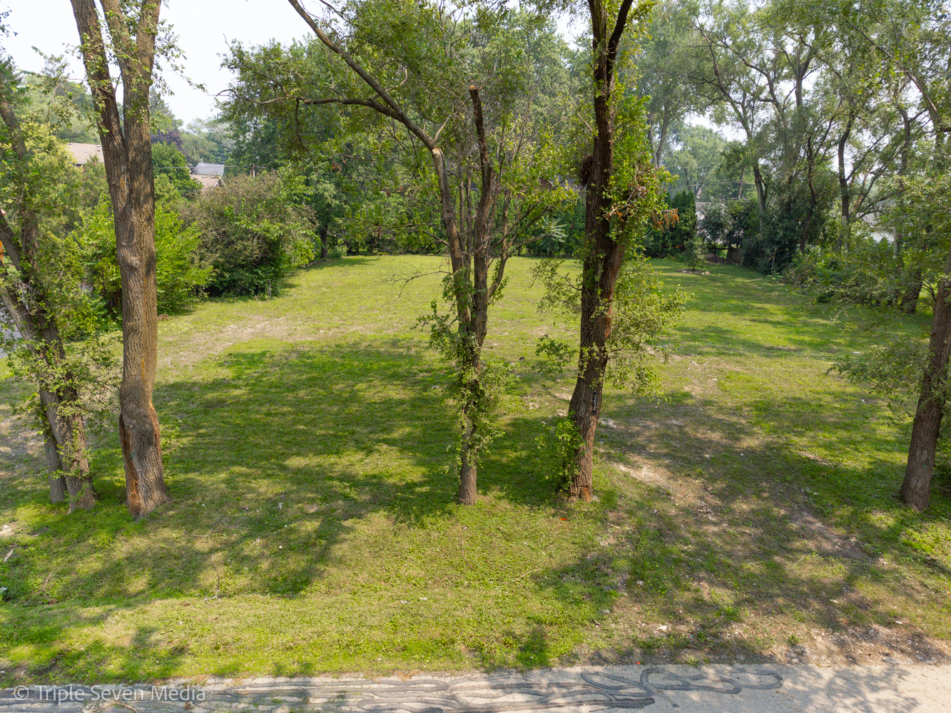 7213 Giddings Avenue Burr Ridge, IL 60527 - Photo 5 of 8 a backyard of a house with lots of green space