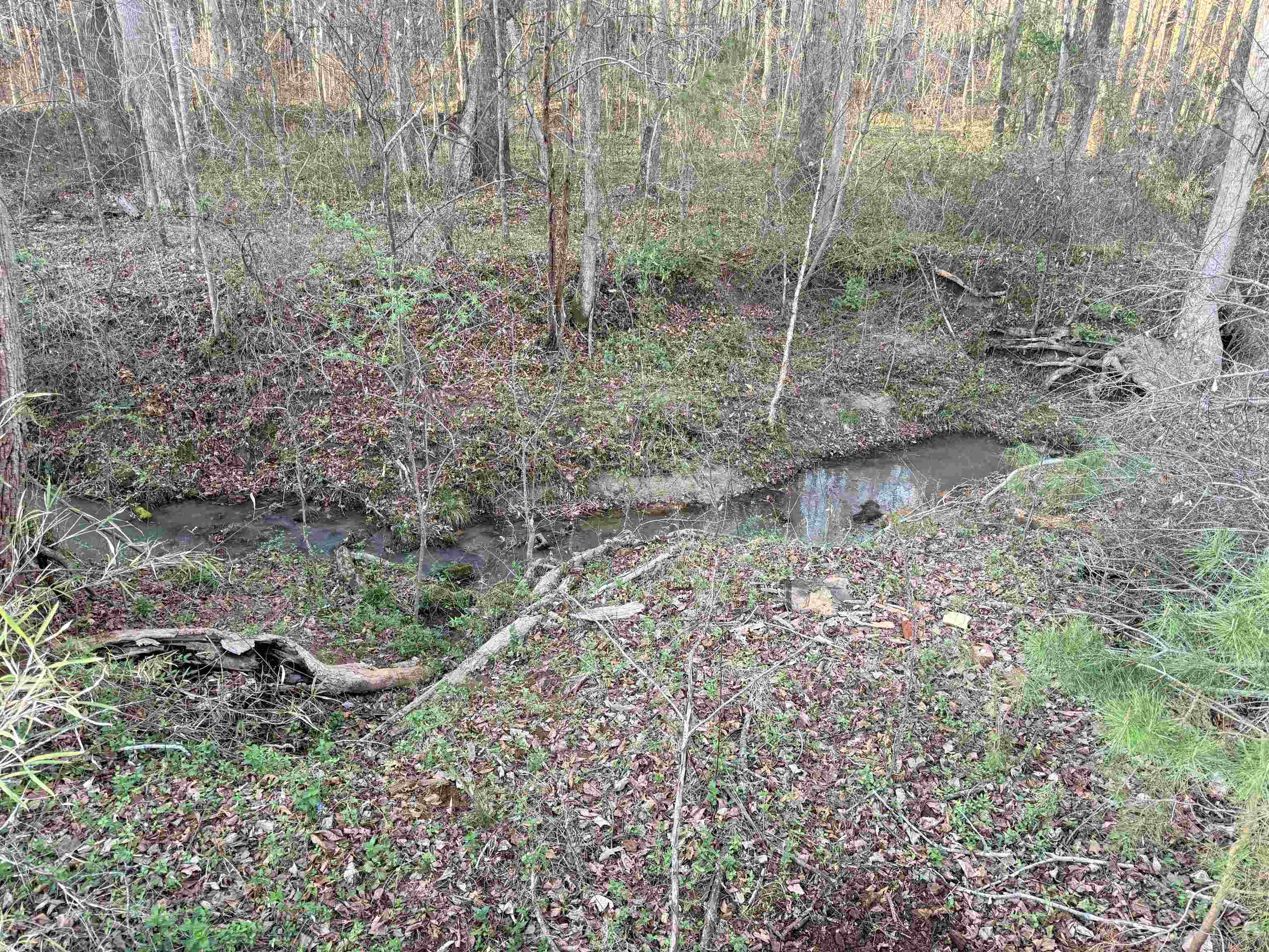 303 State Rd S-11-145 Chesnee, SC 29323 - Photo 3 of 41