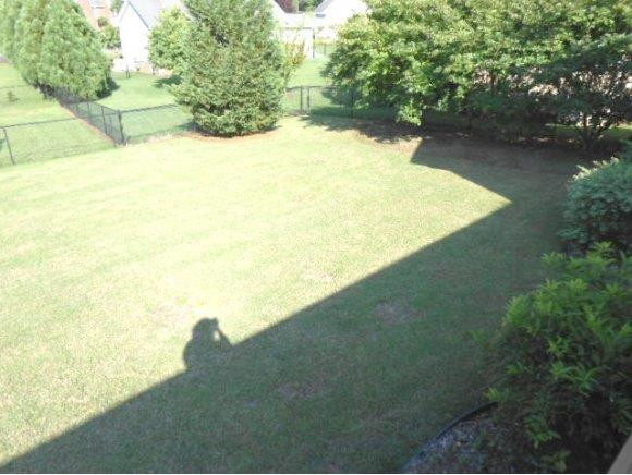 639 Wendy Graham, NC 27253 - Photo 20 of 21 a view of outdoor space and yard