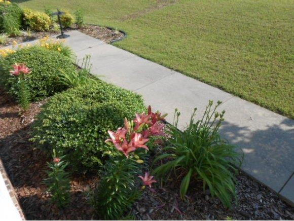 639 Wendy Graham, NC 27253 - Photo 21 of 21 a view of a lake with a big yard