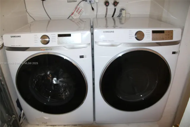 a view of a garden with plants and large trees