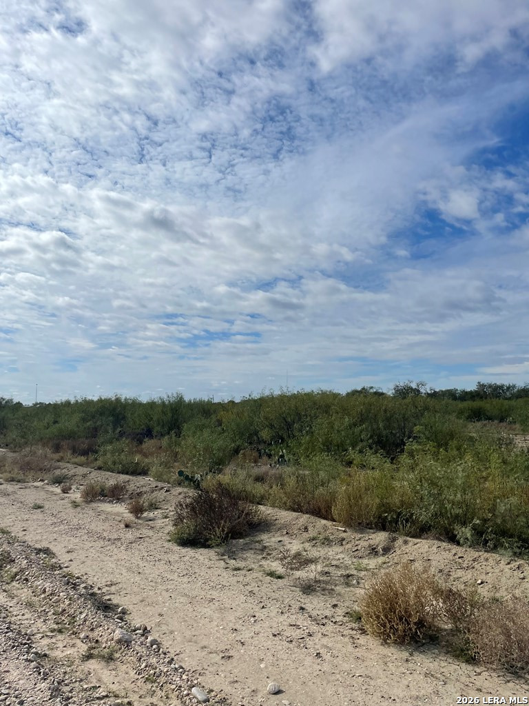 131 Camino Real Road Eagle Pass, TX 78852 - Photo 3 of 11