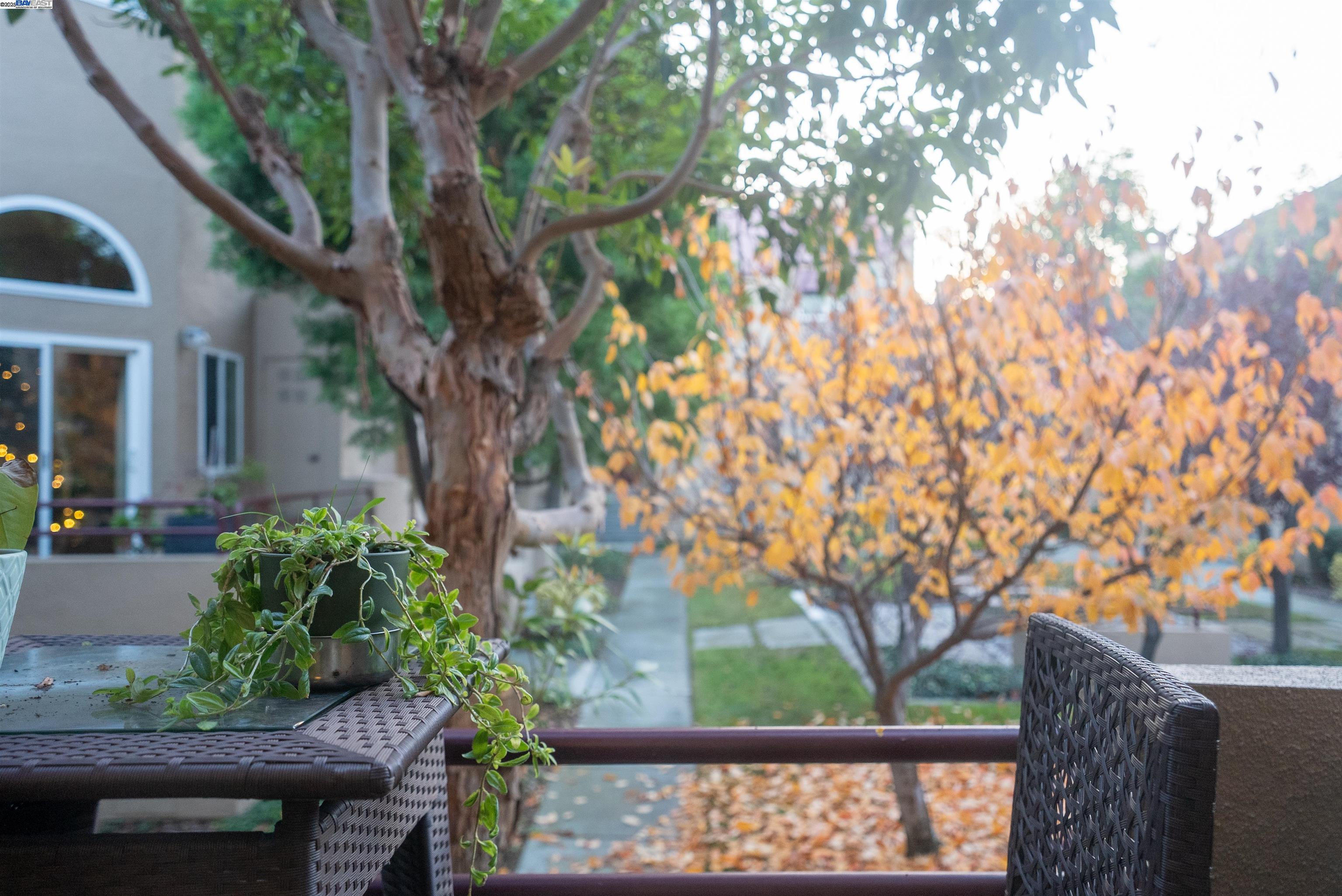 219 Commons Lane Foster City, CA 94404 - Photo 7 of 33 a view of a house with a tree in front