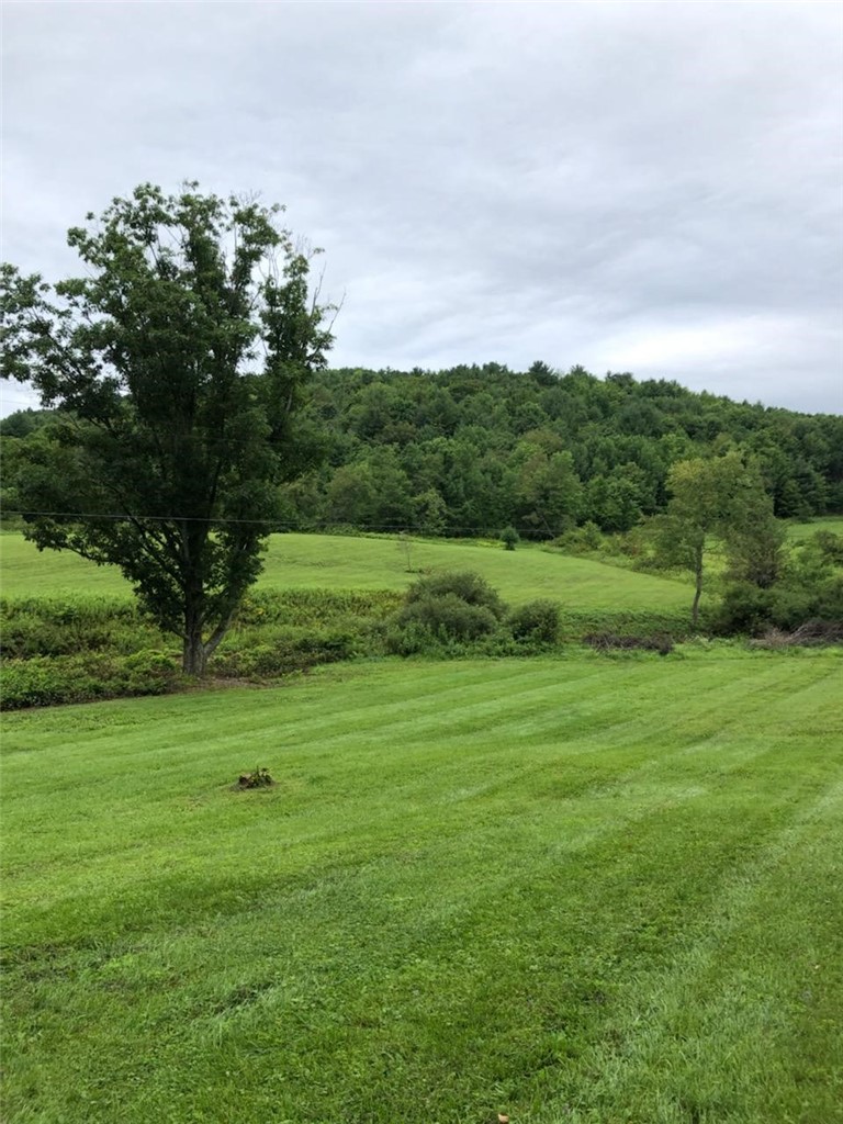 39 Sherman Hill Road Sidney Center, NY 13839 - Photo 2 of 8