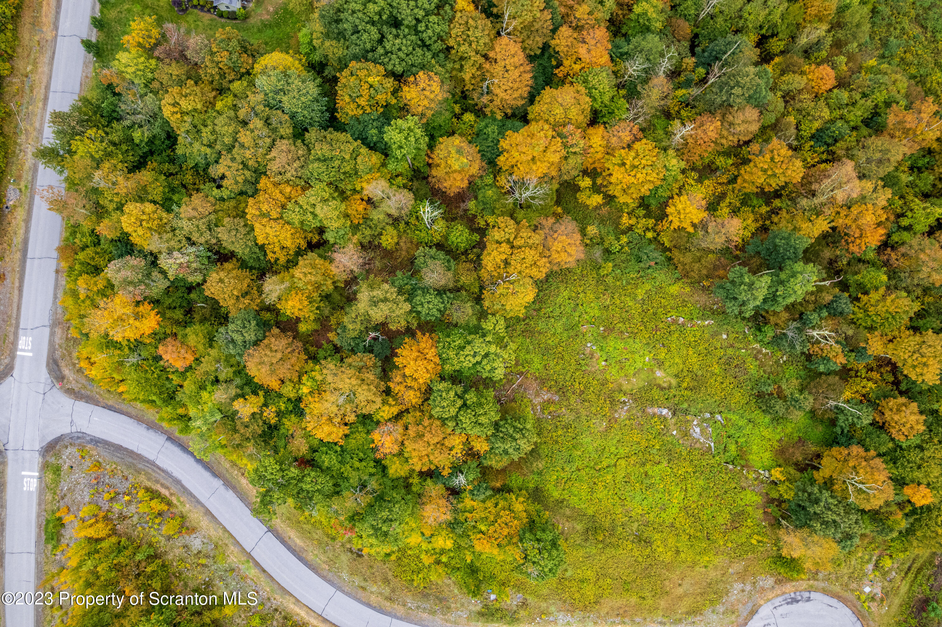 Lot 75 Summit Woods Road Moscow, PA 18444 - Photo 11 of 20 a view of a yard