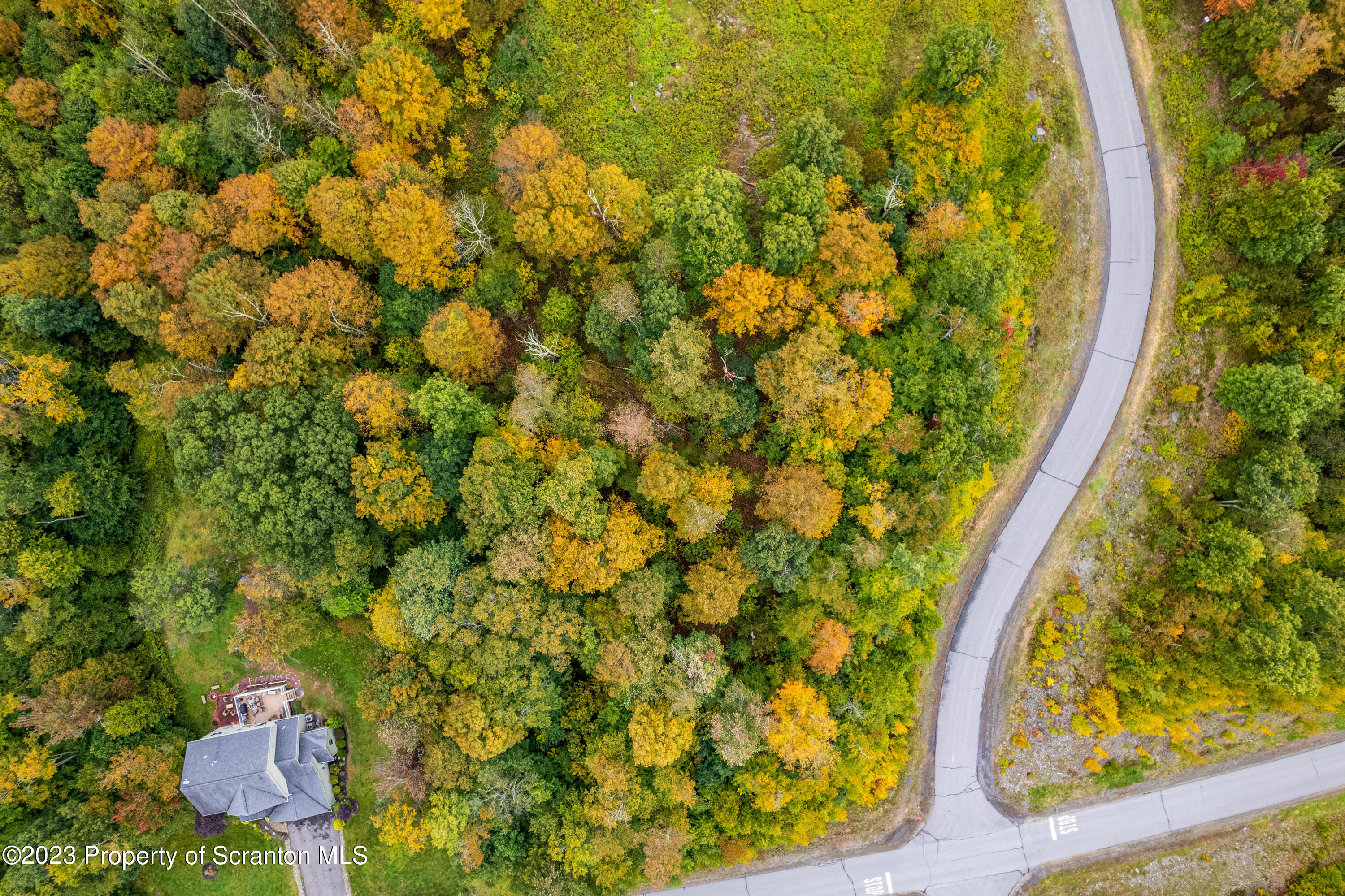 Lot 75 Summit Woods Road Moscow, PA 18444 - Photo 12 of 20 a picture of a tree