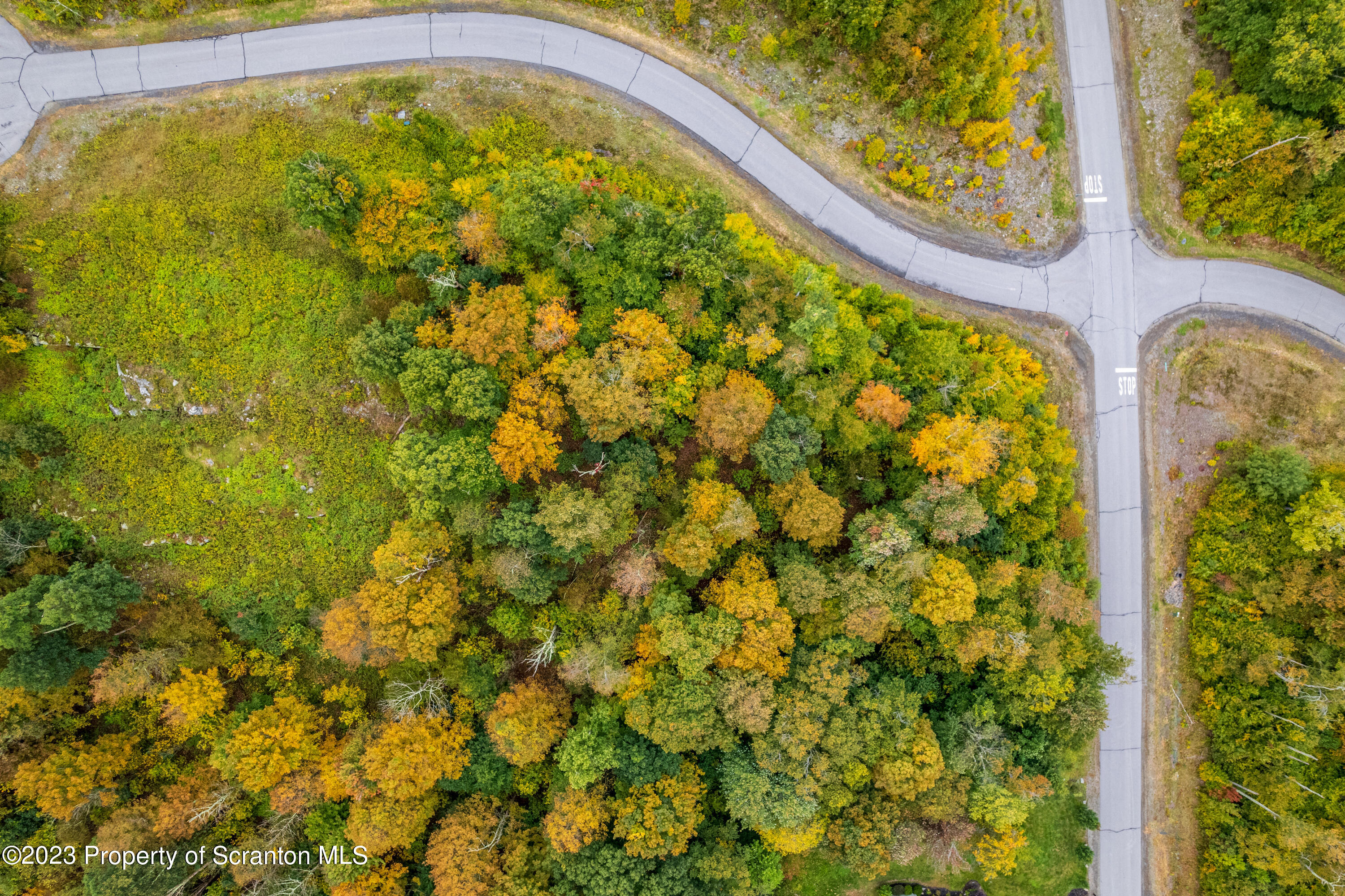 Lot 75 Summit Woods Road Moscow, PA 18444 - Photo 13 of 20 a blue swimming pool with a garden