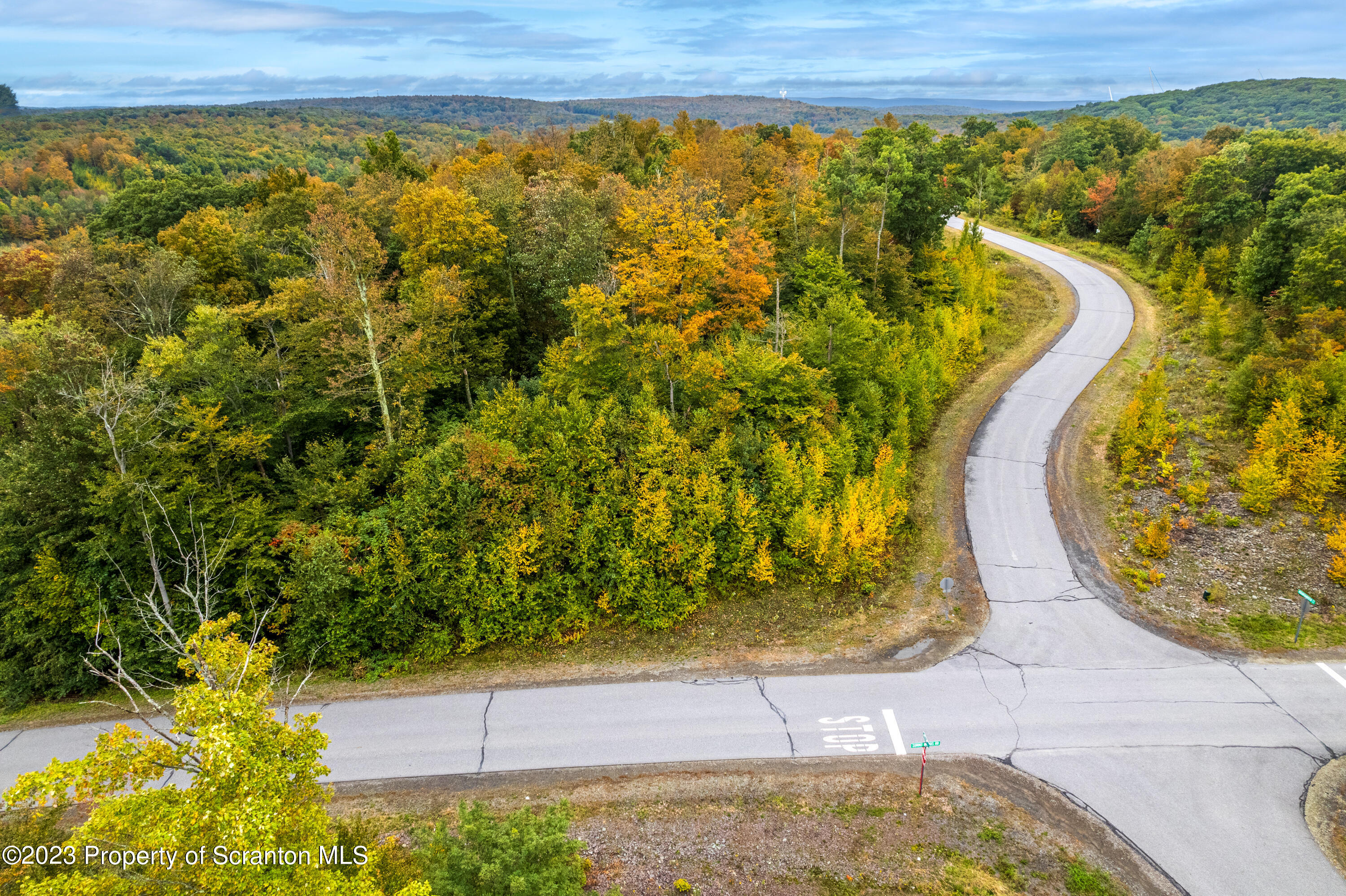 Lot 75 Summit Woods Road Moscow, PA 18444 - Photo 19 of 20 a view of a swimming pool