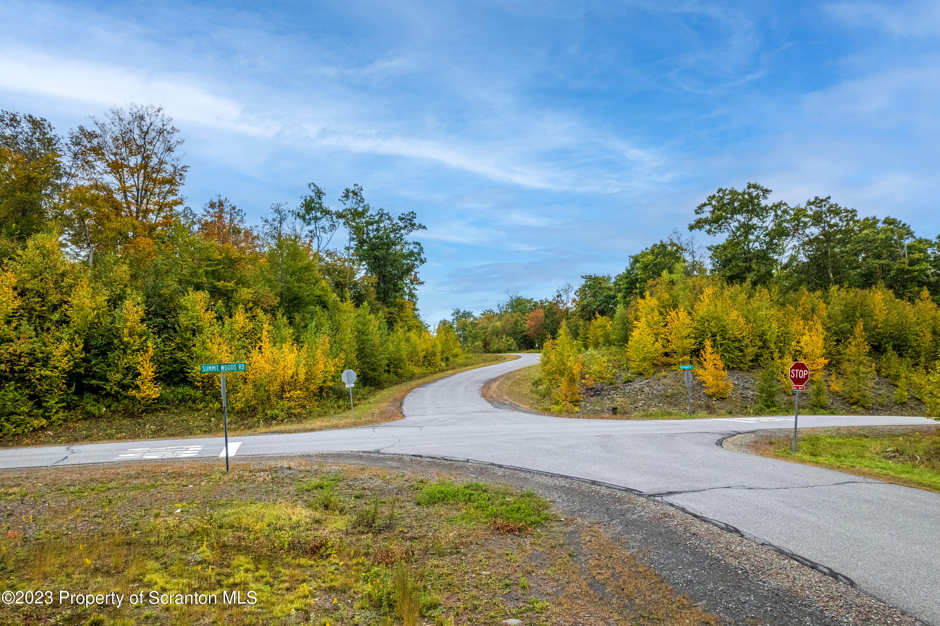 Lot 75 Summit Woods Road Moscow, PA 18444 - Photo 20 of 20 a view of a yard